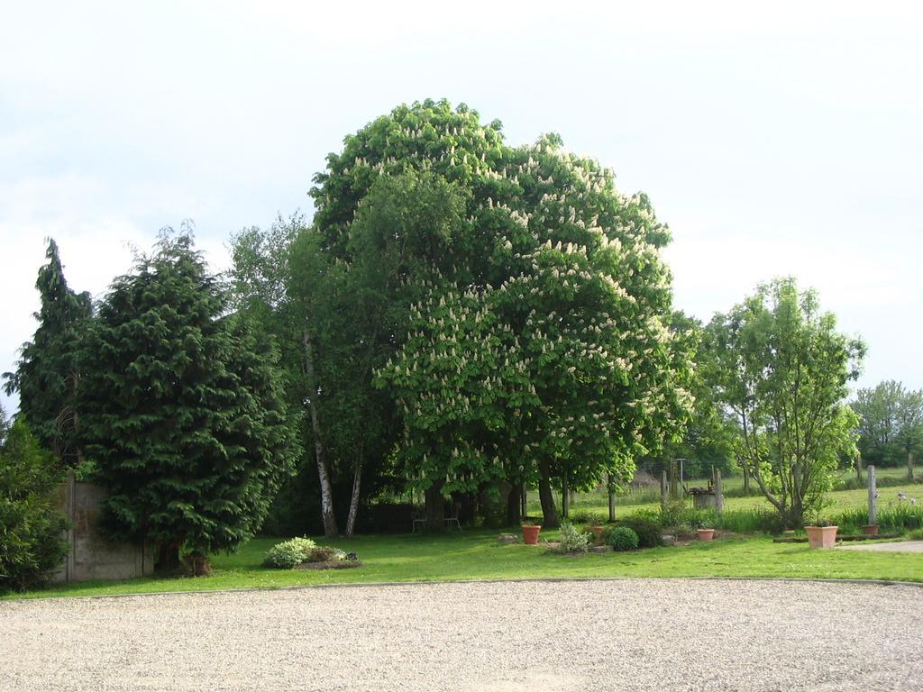 Bed and Breakfast Les Malvaux Huriel Екстер'єр фото